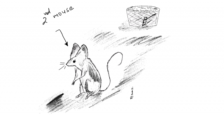 Be The Second Mouse