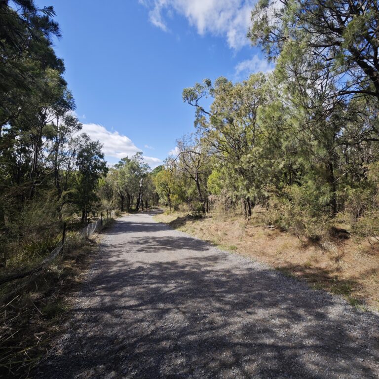 Why I Stopped at 2.5km Walk?